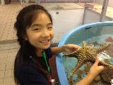 Touch starfish 2